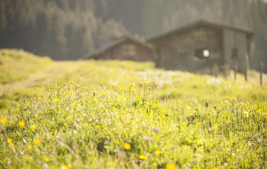 Pension Daniel Lech am Arlberg Exteriér fotografie