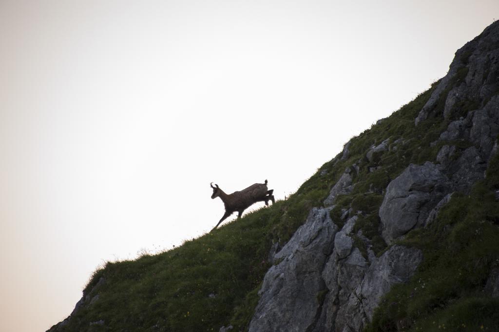 Pension Daniel Lech am Arlberg Exteriér fotografie